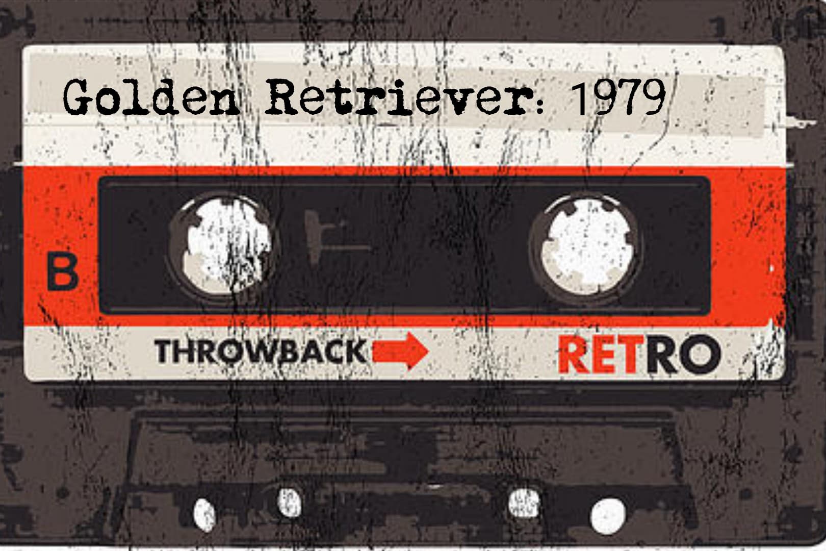 PODCAST: Golden Retriever: 1979