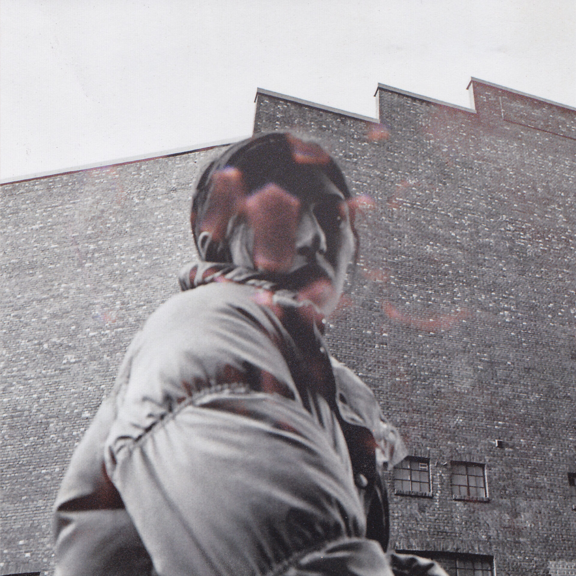 Aldous Harding - Warm Chris (4AD)