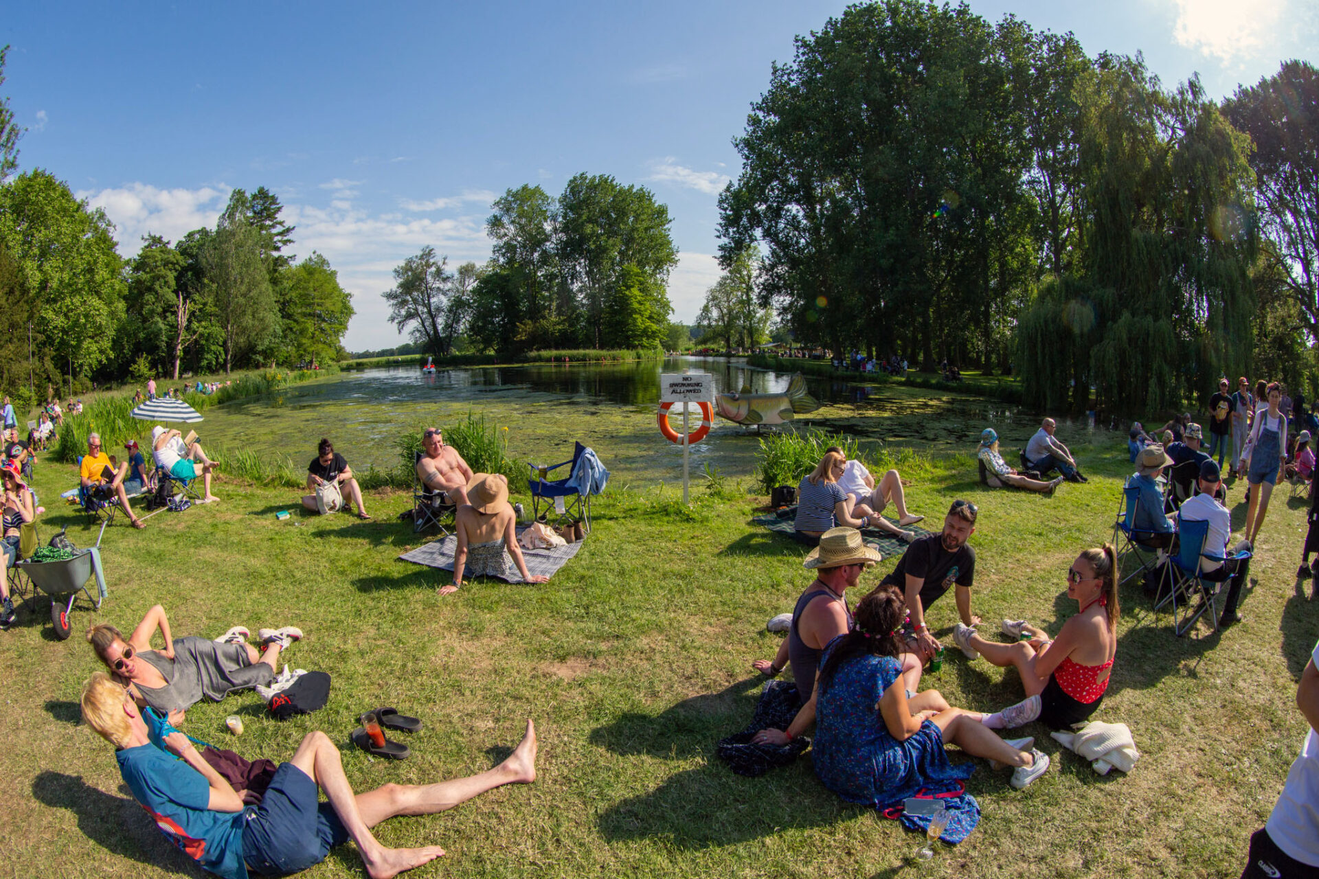 IN CAMERA: Red Rooster Festival 2022 29