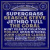 PREVIEW: Moseley Folk & Arts Festival 2