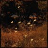 Szun Waves - Earth Patterns (The Leaf Label)