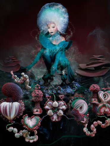 Björk- fossora (One Little Independent)