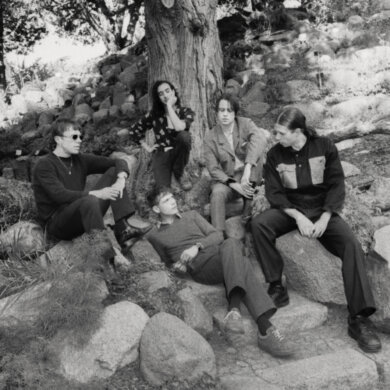 ICEAGE - Shake The Feeling: Outtakes & Rarities 2015-2021(Mexican Summer)