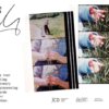 NEWS: Jonas Mekas 100! UK Cinema Tour