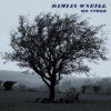Damian O'Neill - An Crann (Dimple Discs)