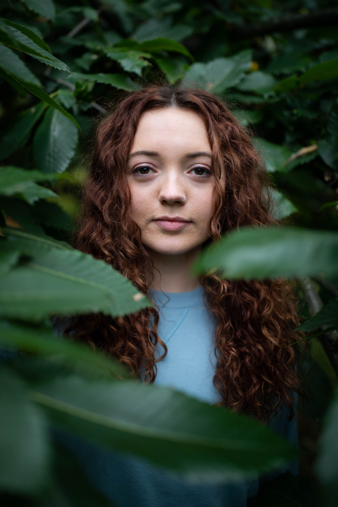 NEWS: Bea Stewart releases new family roots single
