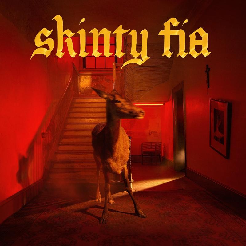 Albums of 2022 Poll Results: 25-1 29 cover Fontaines D.C. Skinty Fia
