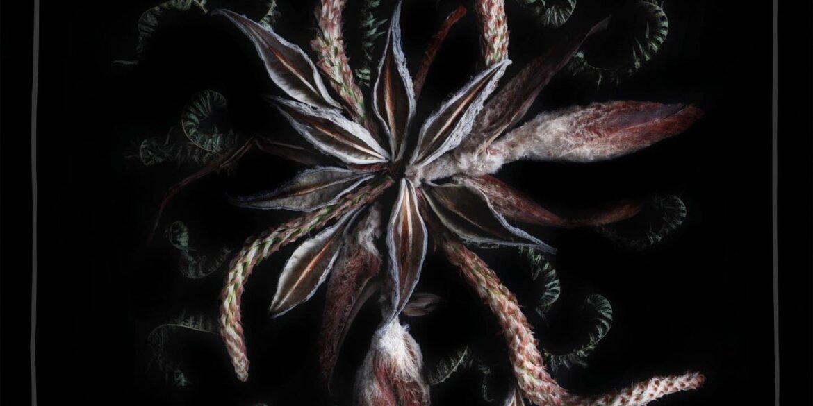 SkarWorX – Seed-X Vol.3 (EP) (Lamour Records) 1