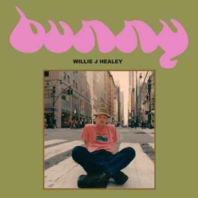 WillieJHealey Bunny Artwork 1024x1024@2x