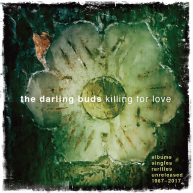 Darling Buds Packshor