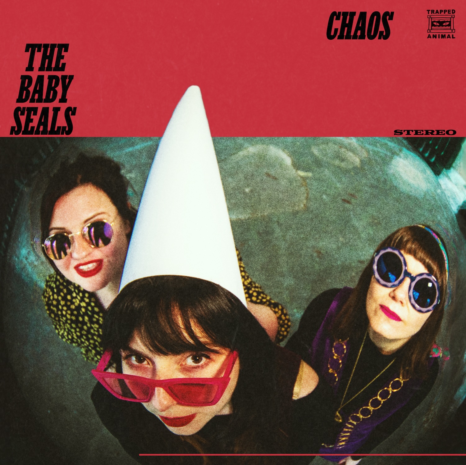The Baby Seals album over