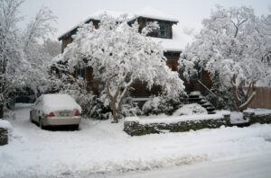 snowy Annandale 21