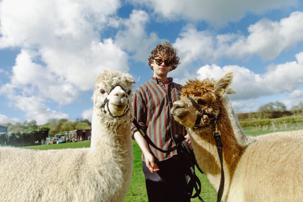 IN CONVERSATION : Bill Ryder-Jones "I wanted the album to be a warm safe space" 23 brd llamas