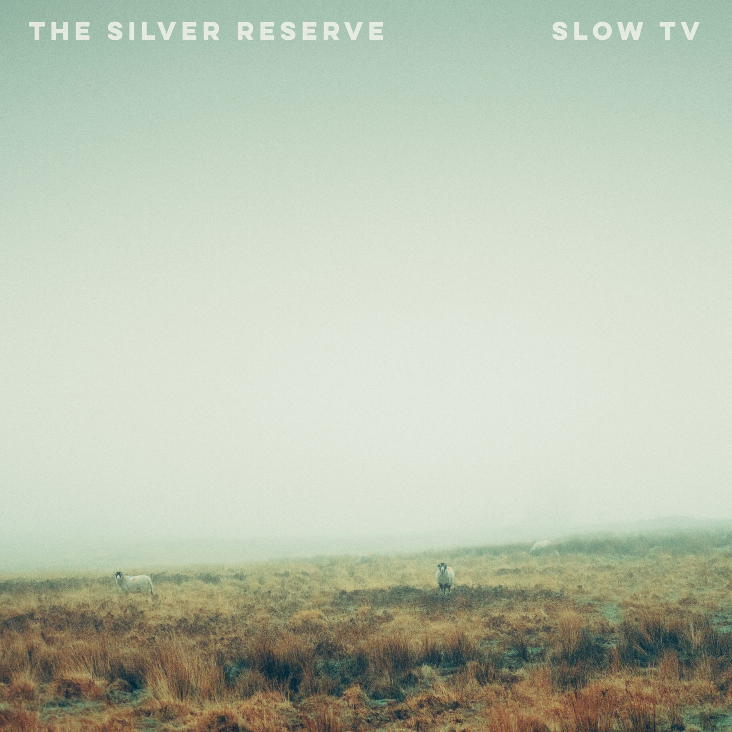 Final cover scaled