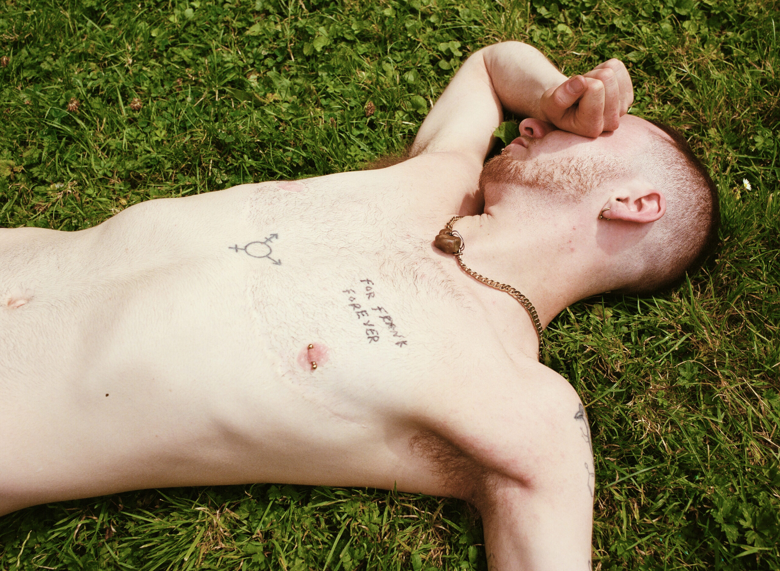 The singer songwriter piglet
