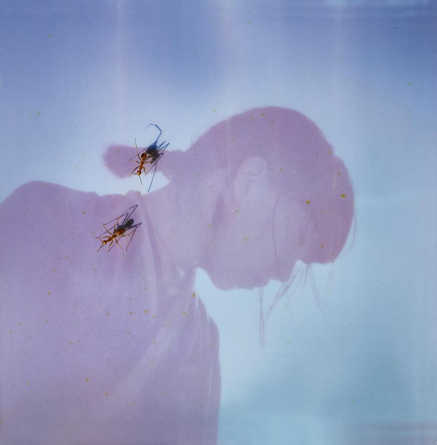 Ichiko APhoto LC1 9900000000079e3c