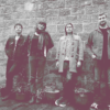 Low Harness Lead Press Shot