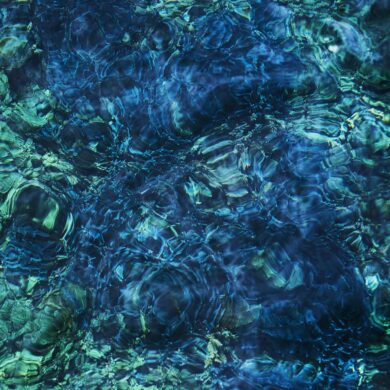 IchikoAoba LuminescentCreatures packshot 9900000000079e3c