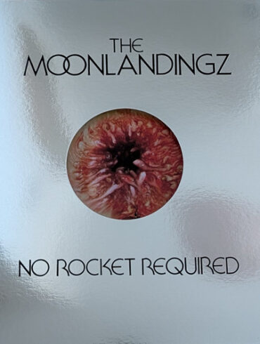 The Moonlandingz