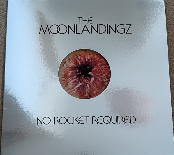 The Moonlandingz