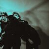 The Irish band Adore