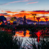 Shambala Sunset Scott Salt 1
